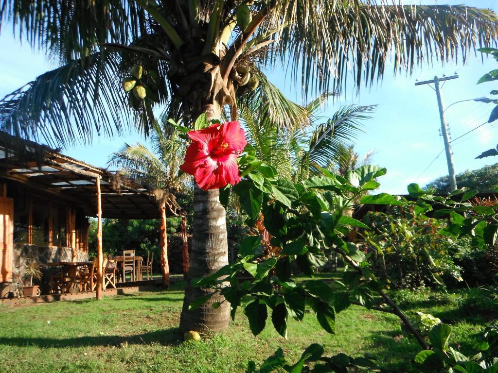 Mamma Nui Glamping Villa Hanga Roa Exterior photo