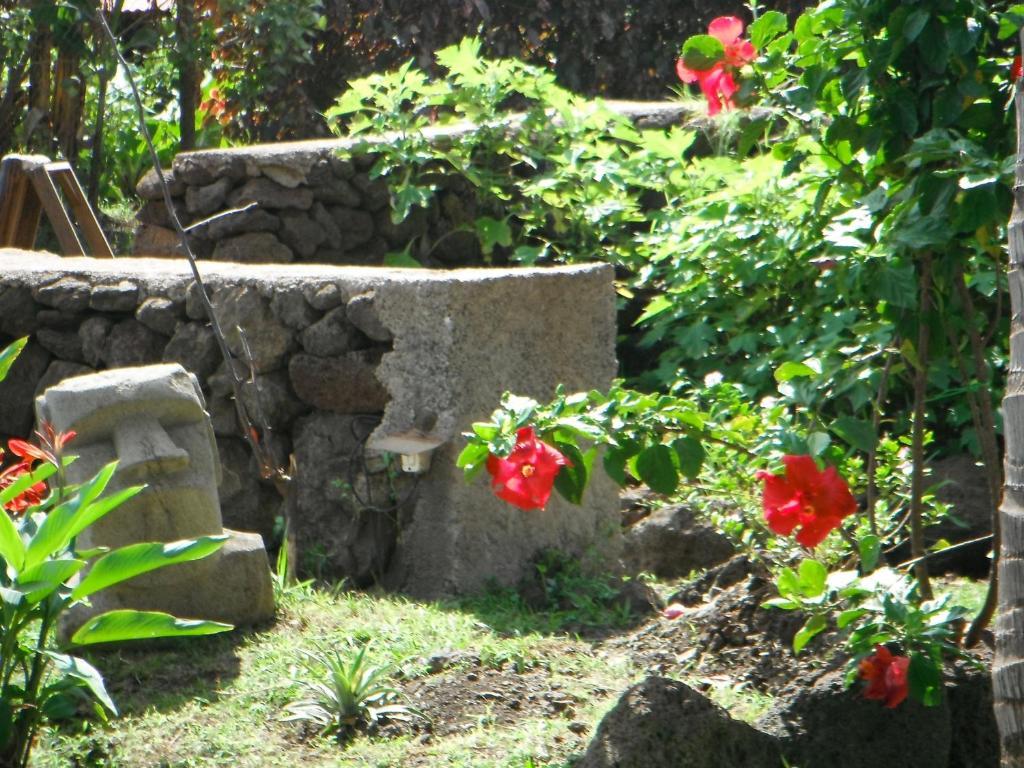 Mamma Nui Glamping Villa Hanga Roa Exterior photo